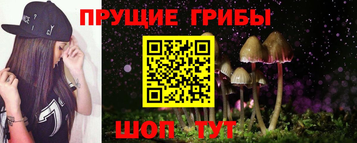 Галлюциногенные грибы мухоморы Электрогорск