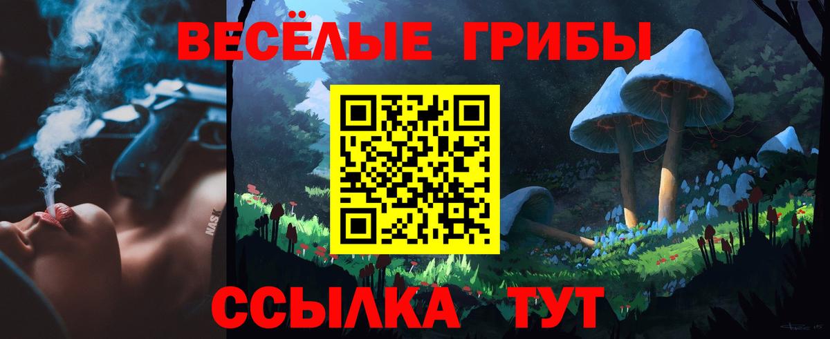 Электрогорск  Псилоцибиновые грибы прущие грибы  Вход с VPN  Псилоцибиновые грибы Cubensis 